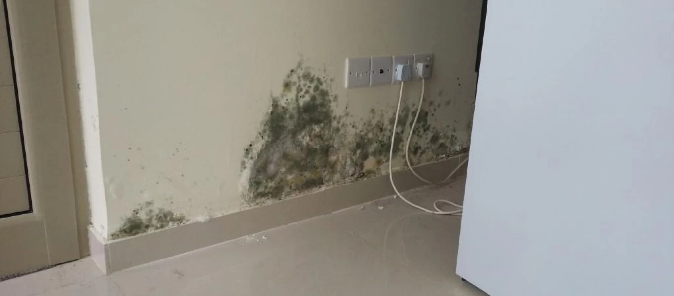 Αυτές είναι οι 2+1 συμβουλές για να προστατέψετε το σπίτι σας από την υγρασία